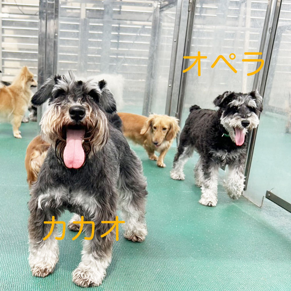 kBeʐ^A